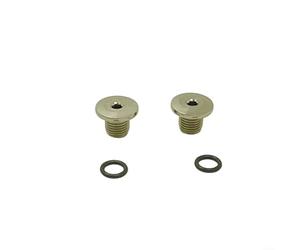 Risveglio Road for Bike Shifter Bleeder Screw TC4 Titanium 7g Oil Port Bolt with Seal Compatible with R7020 R8020 R9120 R9170 Series Black Silver (B-Silver 2pcs)