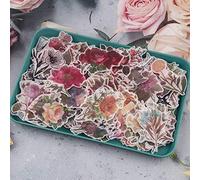 RisyPisy 360 Piezas Retro Flores Scrapbook Pegatinas, 8 Temas Varias Stickers Botánicas de Forma Especial para Manualidades, Planificadores, Diarios de Balas, Cuadernos, Portátiles, Calendarios