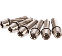 Ritchey Tornillo de potencia para WCS 4-Axis gris titanio