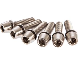 Ritchey Tornillo de potencia para WCS 4-Axis gris titanio