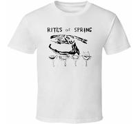 Rites of Spring Post Hardcore Band Retro tee Shirt Tshirt Men's White 3XL