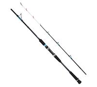 RiToEasysports Cañas de Pescar, Caña de Pescar en Alta mar Luminosa para Pesca en Alta mar(1,8 m / 5,9 pies) cañas de Pescar y Accesorios