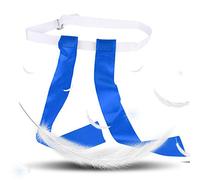 RiToEasysports Juego de Persecución de Cinta Colorida para Niños, Deportes Al Aire, Cinturón Ajustable Divertido, Material Duradero de 5 Colores (Blue)