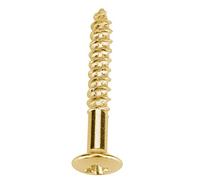 RiToEasysports Juego de Tornillos para Pastilla Humbucker para Guitarra Eléctrica, 40 Uds., Tornillos de Montaje Resistentes para Piezas de Repuesto y Reparación, Plateado/negro/dorado (GOLD)