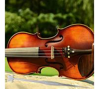 RiToEasysports Poste de Sonido de Abeto para Violín que Mejora la Calidad del Sonido, Paquete de 10 con Herramienta de Ajuste para Amantes del Violín 4/4 3/