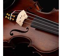RiToEasysports Puente de Violín de Arce, Juego de 5 para Estudiantes, Accesorio Finamente Elaborado con Línea Clara, Tamaños 3/4, 1/2, 1/8, /4, Material de Arce (Juego de cinco escalas de violín 1/8.)