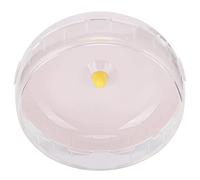 RiToEasysports Rueda para Correr de Hámster, Juguete de Ejercicio Súper Silencioso para Mascotas Pequeñas, Material PP No Tóxico, 1 Unidad (12CM)
