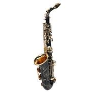RiToEasysports Saxofón Alto, Saxofón de Latón con Llave Dorada Lacada en Negro con Superficie Dorada de Electroforesis y Botón de Llave de Concha Blanca para Músicos Profesionales (BLACK)
