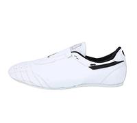 RiToEasysports Zapatos de Taekwondo, Boxeo Deportivo Kung Fu Taichi Zapatos para Hombres y Mujeres Zapatos de Taekwondo para Niños (43) Remar
