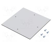 RITTAL 9548000 Placa de ensamblaje