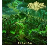Ritual Fog - But Merely Flesh