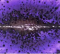 Rituals of the oak - Come taste the doom