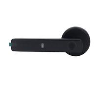 Riuulity Cerradura de Contraseña de Huella Digital Semiconductor Profesional para Puerta Interior, Reconocimiento Rápido de Huellas Dactilares para Flexibilidad de Oficina, Material de Aleación de