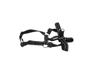 Riuulity Collar de Cabeza de, Correa Reflectante para Bozal para Mascota, Correa de Entrenamiento, Collar Ajustable para Perros Pequeños, Medianos y Grandes (S)