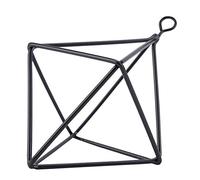 Riuulity Soporte de Flores Colgante Adorable Soporte para Plantas Doradas, Forma Sorprendente de Exhibir Plantas de Aire para Sala de Estar, Hotel (Black)