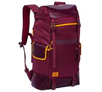 RivaCase® Mochila portátil de 17,3 Pulgadas, 30 L, con Correa para el Hombro, Bolsa de Viaje Reflectante, Bolsillos Ocultos, Mochila Unisex para Estudiantes universitarios 5361 Dijon