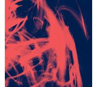 Rival Consoles - Landscape From Memory