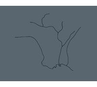 Rivers Run Through It (Los Angeles: Landscapes of Four Ecologies)