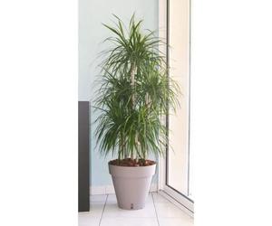 Riviera Maceta RIVIERA Loft con Reserva de Agua Redonda Ø 50 x H 46 cm Taupe