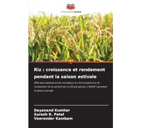 Riz: croissance et rendement pendant la saison estivale