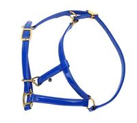 RIZGHWOY Brida para Caballo de 20 Mm, de Piel Sintética Brillante, Impermeable, Resistente a los Olores y Fácil de Limpiar, con Correa Reforzada de Doble Capa y Hebillas de Aleaci