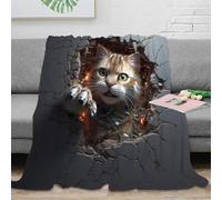 RJAVAGFZL Estampado 3D Breaking Wall frazada Microfibra Ropa de Cama esponjosa y cálida Digital Arte Manta térmica Transpirable Anti-Bolitas para Uso Diario 70×80inch(180x200cm)