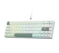 RK ROYAL KLUDGE C68 Teclado mecánico para juegos con efecto Hall, RGB con cable y interruptor magnético 65%, activación rápida ajustable, frecuencia de sondeo de 8K, controlador Pro Web para Mac y Win