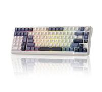 RK ROYAL KLUDGE L98 Teclado mecánico inalámbrico Teclado numérico Southpaw | Teclado gaming junta mano izquierda, teclado intercambiable caliente 95% tres modos BT/2.4G/USB-C, batería masiva 8000mAh