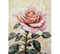 RKFLGEW 14CT Punto De Cruz Principiantes Flores De Rosas Rosadas Kits De Punto De Cruz Para Principiantes O Adultos,Diy Fácil Contado Costura Conjunto De Bordado Decoración Del Hogar 80x100cm