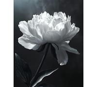 RKFLGEW Flores Kit De Bordado De Cuentas Diy Peonía Blanca De Fantasía Kit De Bordado Con Cuentas,Juego De Costura,Patrón De Bordados,Decoración,Arte Mural 40x50 cm