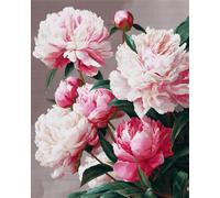 RKFLGEW Flores Kits De Bordado De Cuentas Diy Peonía Rosa Kit De Bordado Con Cuentas,Juego De Costura,Patrón De Bordados,Decoración,Arte Mural 30x40 cm