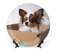 Rkklvbns Papillon en la caja - Platos decorativos de cerámica de 6 pulgadas, plato decorativo de porcelana de hueso con soporte de exposición, platos de postre para decoración de la pared del hogar y