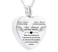 RKYRRKI Colgante de urna de acero inoxidable para mejores amigos, recuerdo de ceniza, corazón, amistad, cremación, regalo para siempre, mejores amigos, collares con dijes