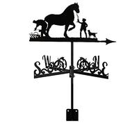 RKYRRKI Veleta decorativa con adorno indicador de dirección del viento, estaca de jardín, herramienta de medición profesional, decoración de jardín, paleta de viento