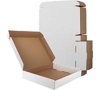 RLAVBL 33x25.4x5.1cm(13x10x2in） Cajas de Carton con Tapa para Envios de Paquete, 25 Pack, Cajitas de Papel Kraft para Regalo o Embalaje, Blanco