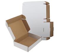 RLAVBL Pack de 25 Cajas de Carton 22,9x15,3x5,1cm Blanco, Cajas Pequeñas de Cartón Ondulado Kraftlo