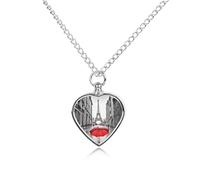 RLDOBOFE Collar de cenizas para mascotas, Torre Eiffel París, paraguas rojo, regalo conmemorativo de mascotas, joyería personalizada para perros/gatos, recuerdo en forma de corazón, collar de urna