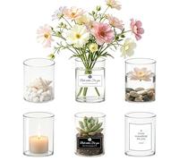 Rliocvhe 6 Piezas 8 x 6.5 cm Jarrones de Cristal de Flores,Jarrones Decorativos de Cristal Transparentes Modernos Pequeños,para Home Decoración de Interiores, arreglos Florales, Centros de Mesa