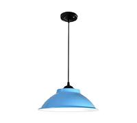 RLKHXBS Indoor Chandelier, Nordic Industrial, Creative and Iron Lampshade, Single Head Pendant Light, Ceiling Lighting, Decorative Lighting for Cafes and