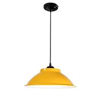 RLKHXBS Indoor Chandelier, Nordic Industrial, Creative and Iron Lampshade, Single Head Pendant Light, Ceiling Lighting, Decorative Lighting for Cafes and