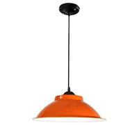 RLKHXBS Indoor Chandelier, Nordic Industrial, Creative and Iron Lampshade, Single Head Pendant Light, Ceiling Lighting, Decorative Lighting for Cafes and