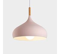 RLKHXBS Indoor Chandelier, Nordic Style Chandelier, Creative Colored Metal Pendant Lamp, Single Head Ceiling Hanging Light, Restaurant Cafe Decoration Lighting Fixture, Adjustable Height