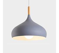 RLKHXBS Indoor Chandelier, Nordic Style Chandelier, Creative Colored Metal Pendant Lamp, Single Head Ceiling Hanging Light, Restaurant Cafe Decoration Lighting Fixture, Adjustable Height