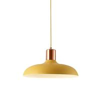 RLKHXBS Indoor Chandelier, Scandinavian Milk Tea Shop, Metal Lampshade, Open Iron Pendant Lamp, Lighting Fixtures for Living Room Bar Decoration