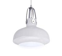 RLKHXBS Indoor Chandelier, Single Head Hanging Light, Creative Personality Iron Chandelier, Ceiling Lighting Fixture, Restaurant Bar Decoration Pendant Lamp, Adjustable Height