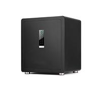 RLKHXBS Smart Password Fingerprint Small All-Steel Anti-Theft Cabinet es Wrong Code Alarm (Color : Black)