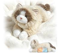 RLOMUTE Peluche de Gato con Peso Peluche de Gato con Peso y Almohadilla Térmica para Microondas Juguete Supersuave Decoración para el Hogar Peluche Grande para Niños y Adultos Comodidad y Relajación