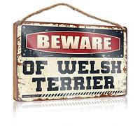 RLVH Placa para puerta delantera, letrero de madera con texto en inglés "Beware Of Welsh Terrier", decoración para colgar en el porche al aire libre (20 x 30 cm)