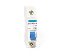 RLZQSGOT Disyuntor Solar Mini de 2 Polos CC 250 V, 6 A, 10 A, 16 A, 20 A, 25 A, 32 A, 40 A, 50 A, 63 A CC MCB for Sistema fotovoltaico (1 Unidad)(1P,10A)