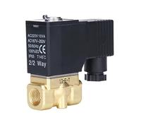 RLZQSGOT Válvula solenoide de 24 V y 220 V, válvula de Drenaje, válvula de conmutación de Agua 2W250-25(2W250-25 DC24V)